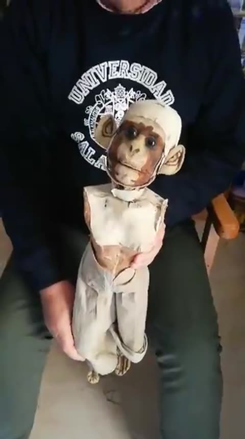Mono autómata