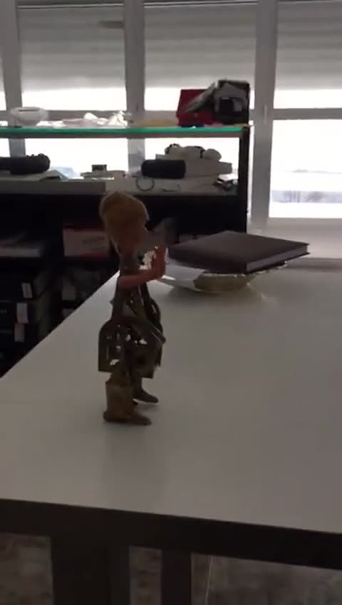 Muñeca autómata