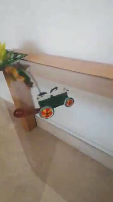 Pardalet volant